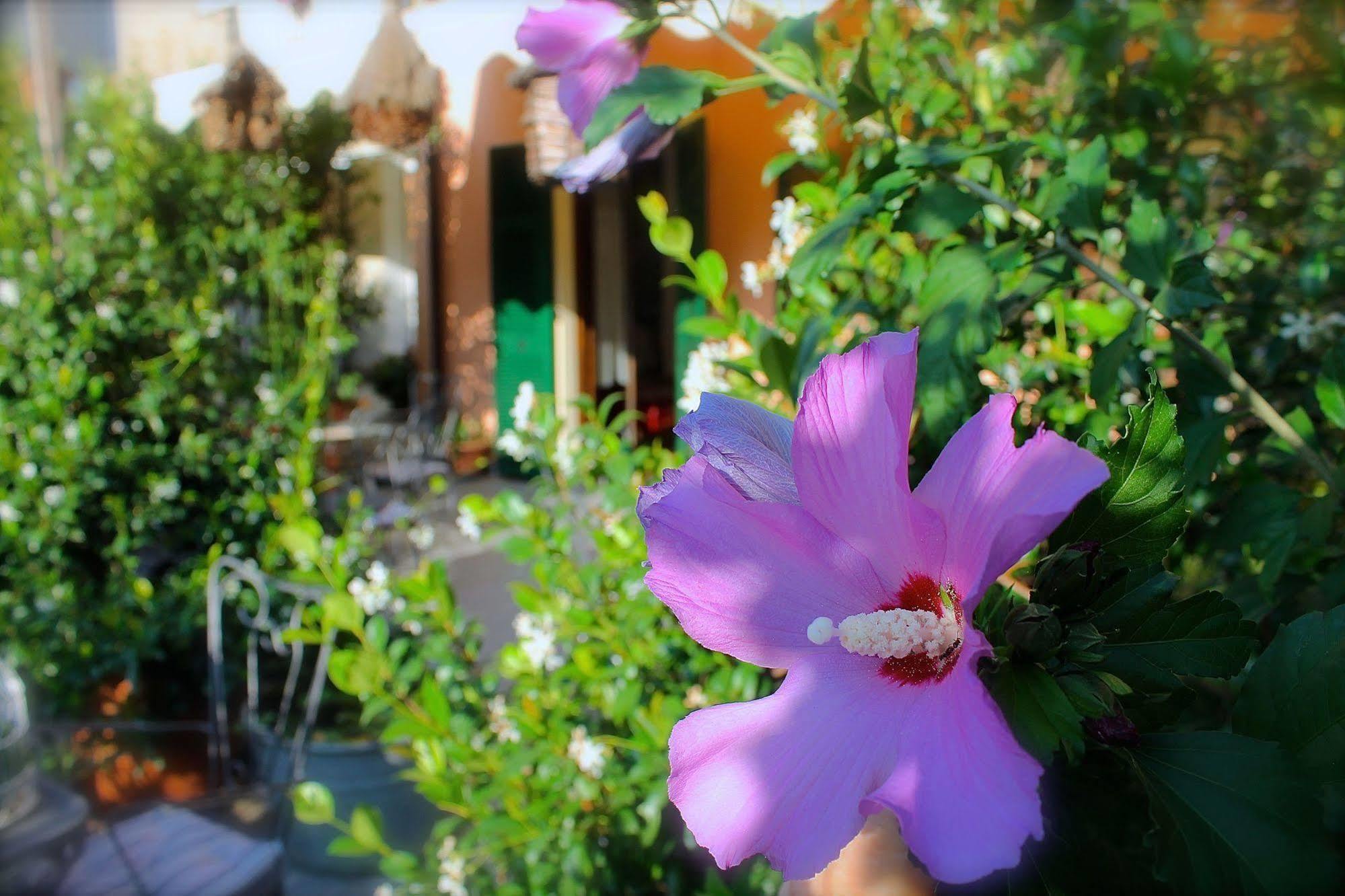 Albergo Al Castello Gavi Dış mekan fotoğraf